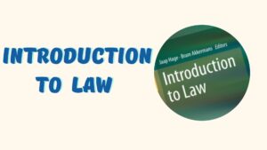 Rich Results on Google's SERP when searching for 'Introduction to Law'